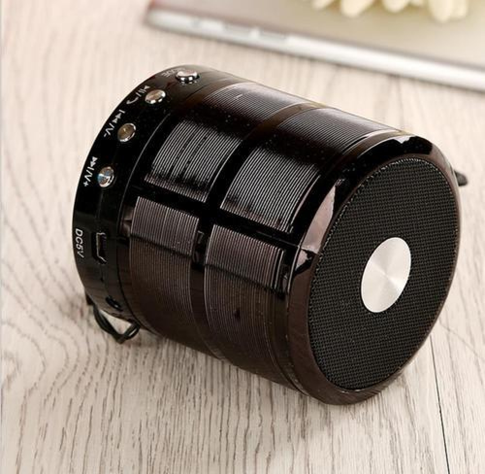WS-887 Mini Bluetooth Speaker